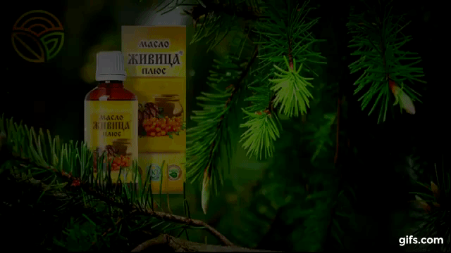 Живица На Облепиховом Масле Купить